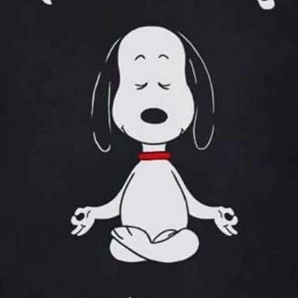 Meet your Posher, Andrew - Picture 1 of 1